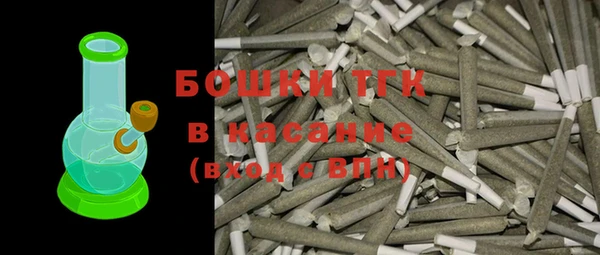 ECSTASY Богородицк