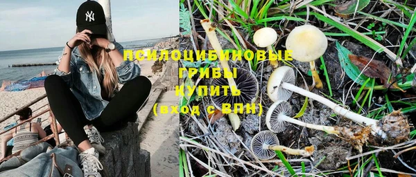 ECSTASY Богородицк